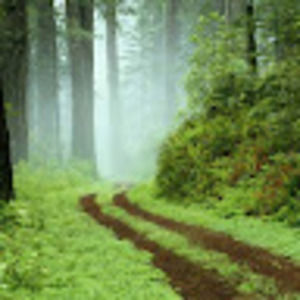 Meet your Posher, Ben